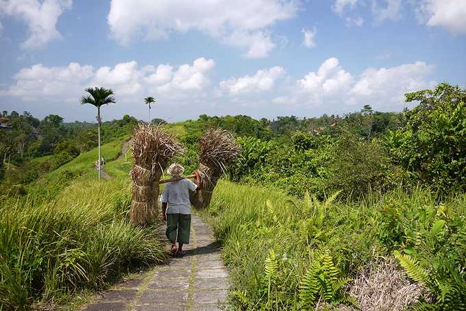 A home away from home in Ubud, Bali