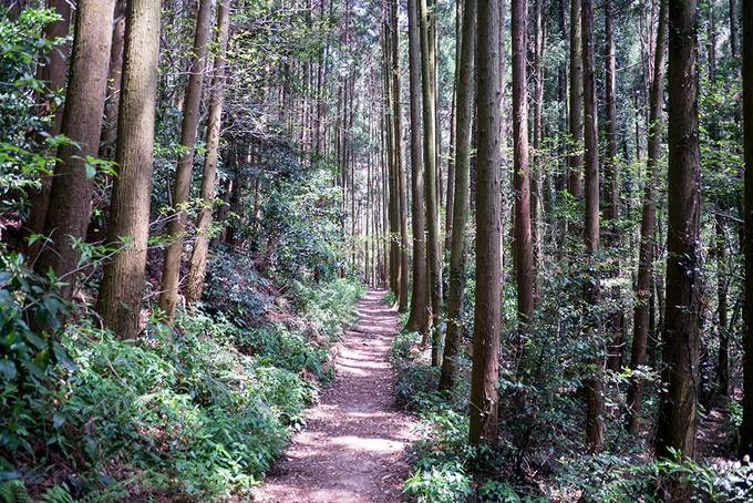 Hiking trail