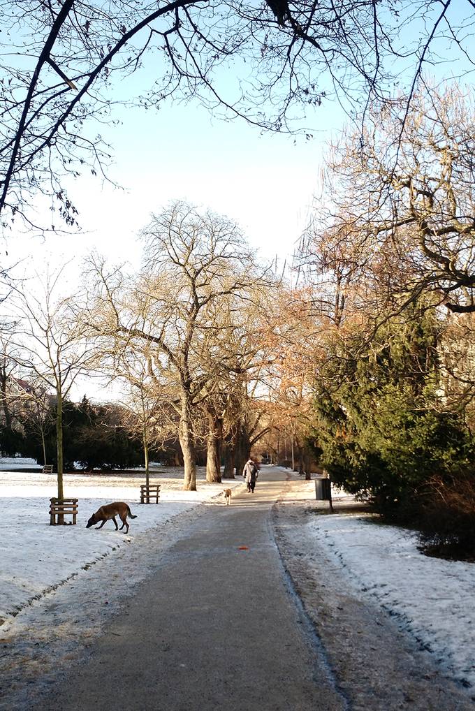 A snowy park