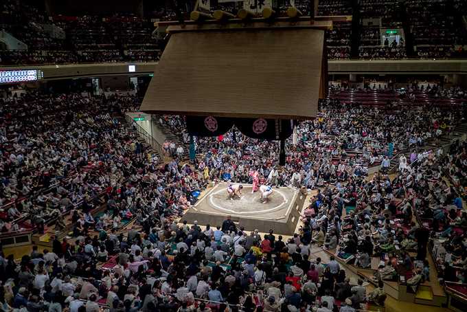 Sumo wrestling in Tokyo