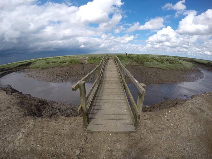 Lots of mud!