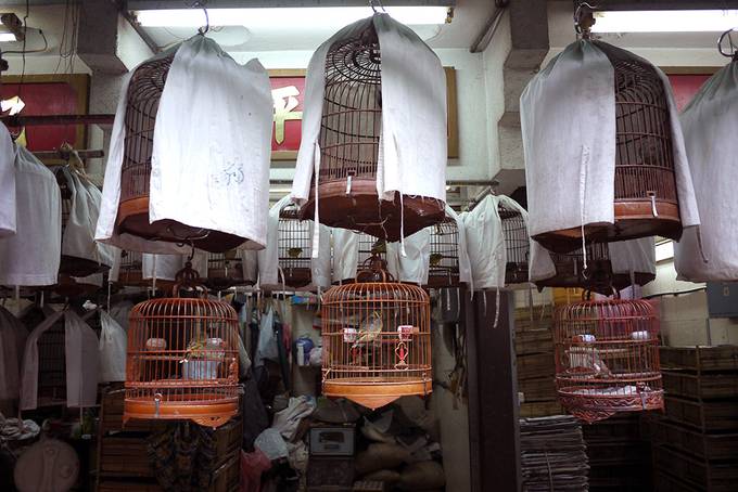 Yuen Po Street bird garden