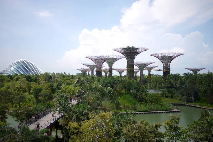 Gardens by the Bay