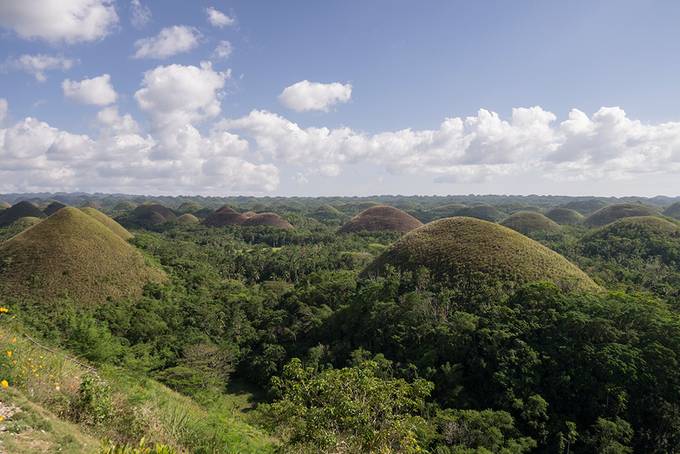 Chocolate hills