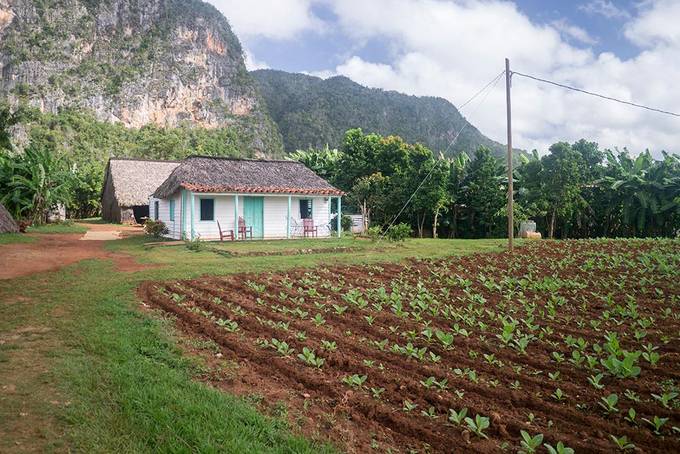 A farmhouse