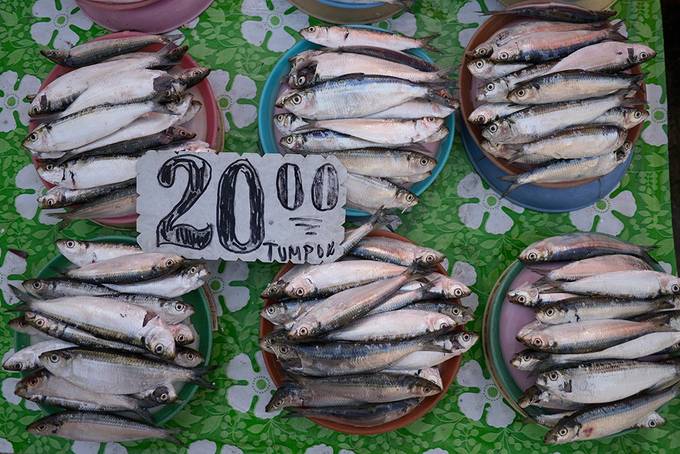 Fish for sale in the market