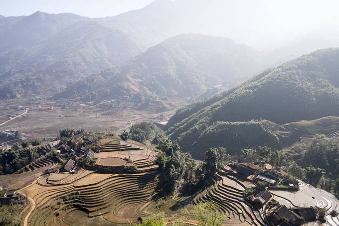 Rice terraces