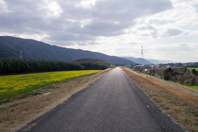 The cycle path