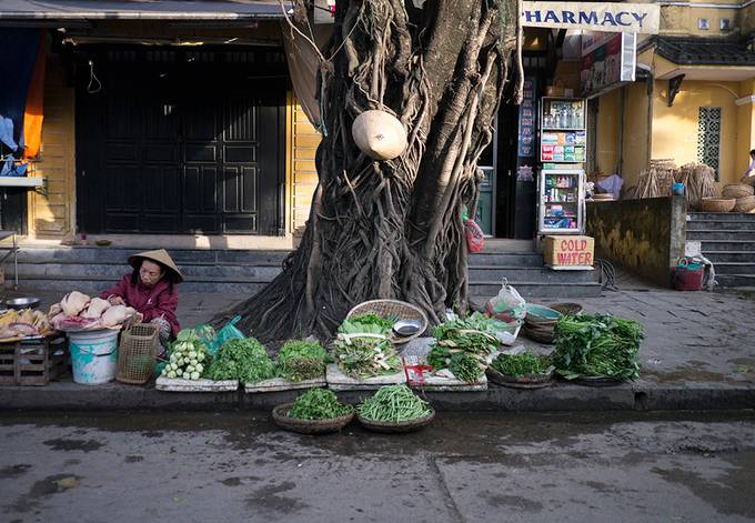 Vegetable stall