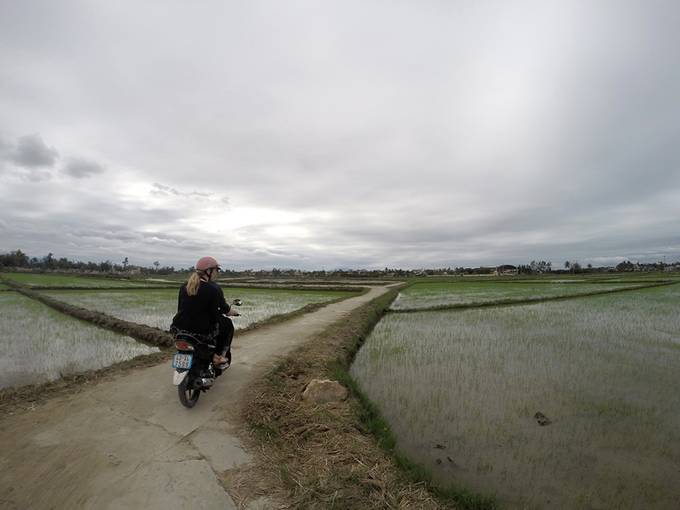 Rice paddies