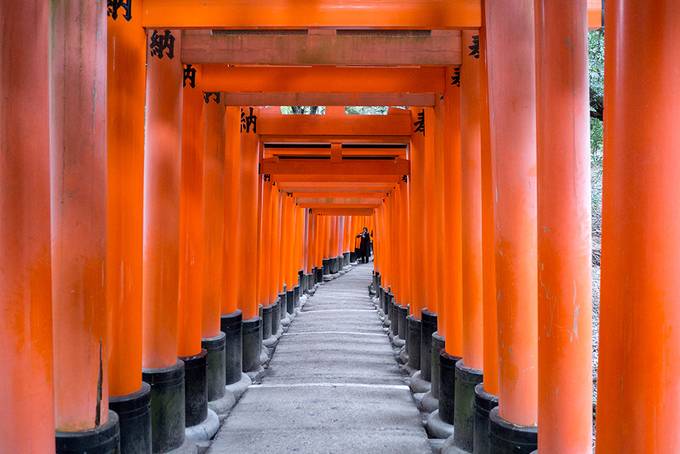 Torii gates