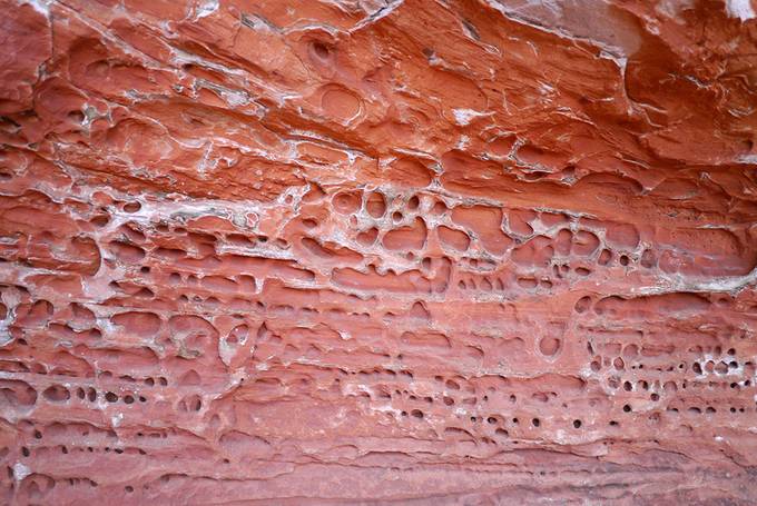 Close-up of the rock