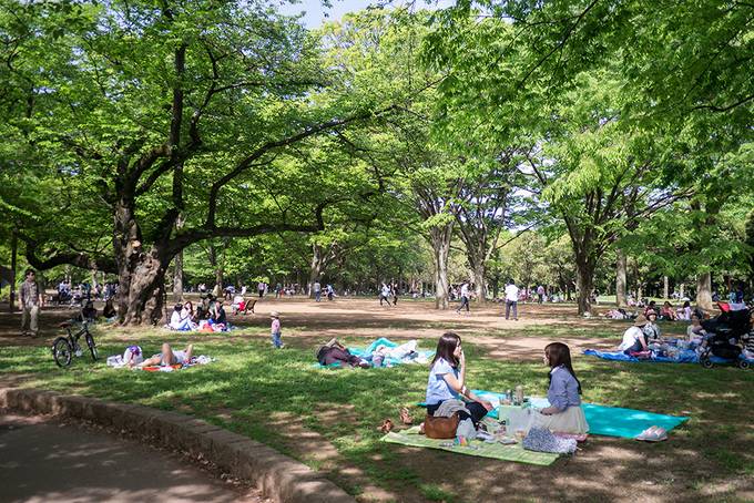 Yoyogi Park