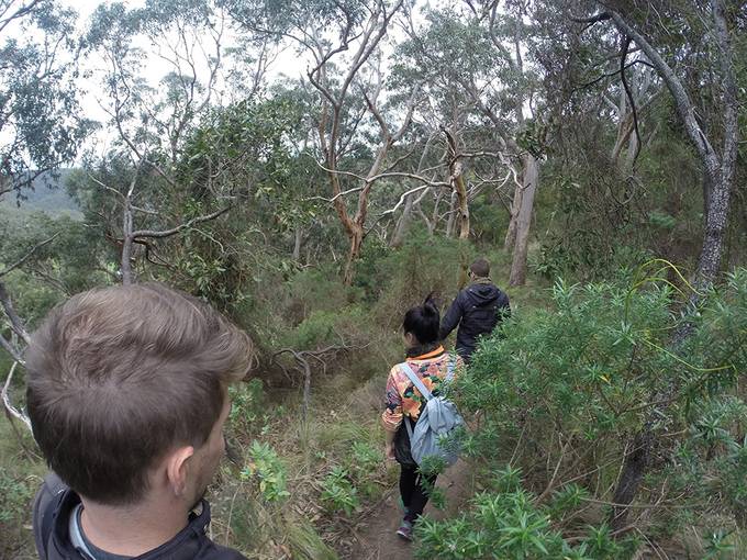 The group walking